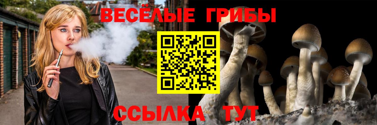 Егорьевск  Галлюциногенные грибы ЛСД  Вход с VPN  Галлюциногенные грибы Magic Shrooms 